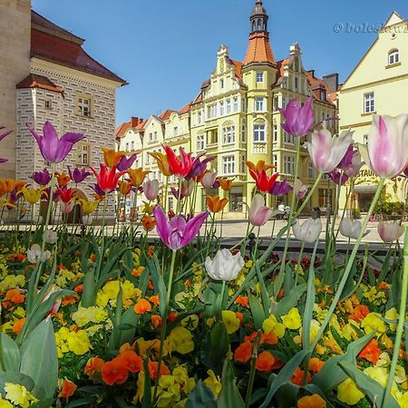 Apartament Przy Starowce - Hampton Boleslawiec  Extérieur photo
