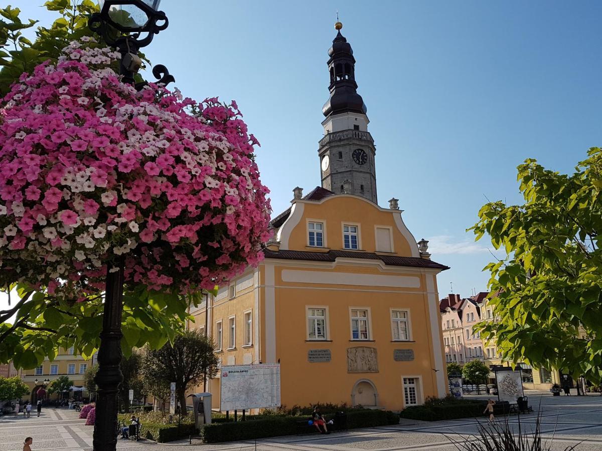 Apartament Przy Starowce - Hampton Boleslawiec  Extérieur photo