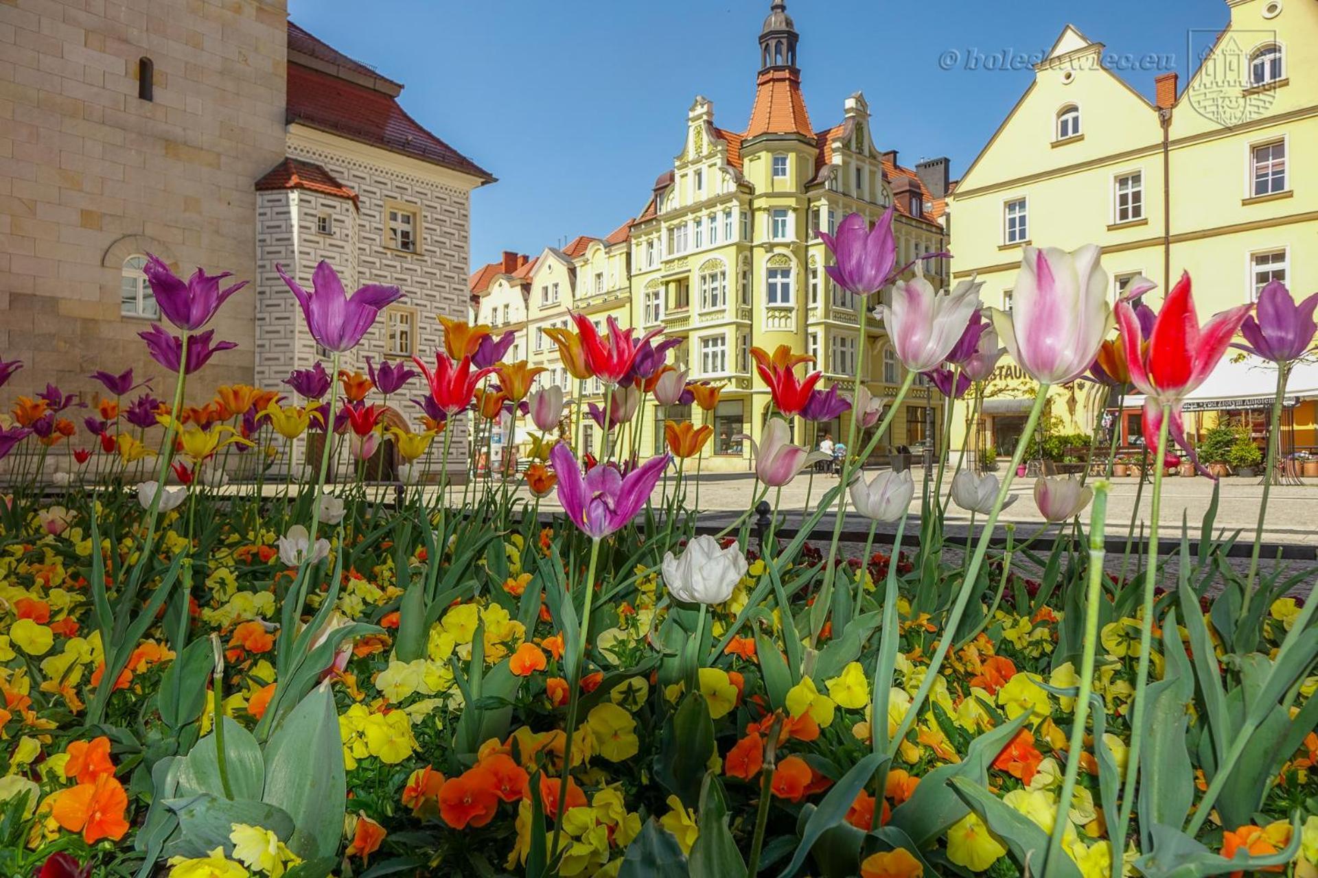 Apartament Przy Starowce - Hampton Boleslawiec  Extérieur photo